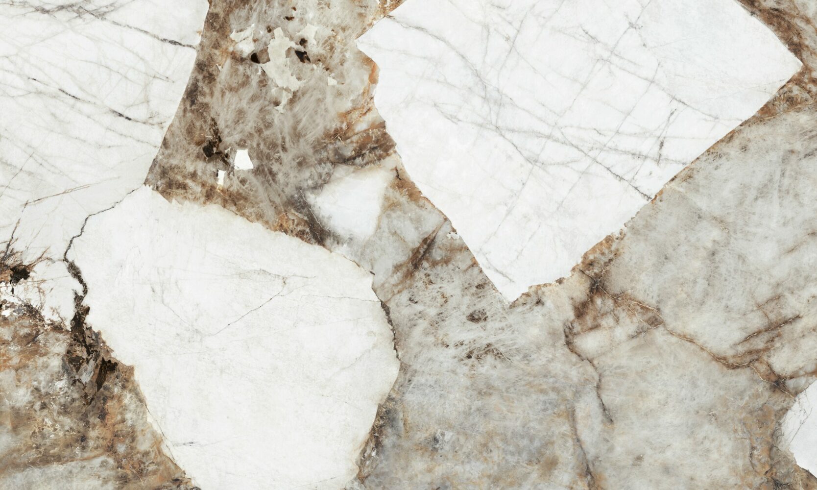 ascale patagonia gold batcheditor fotor 1.jpg